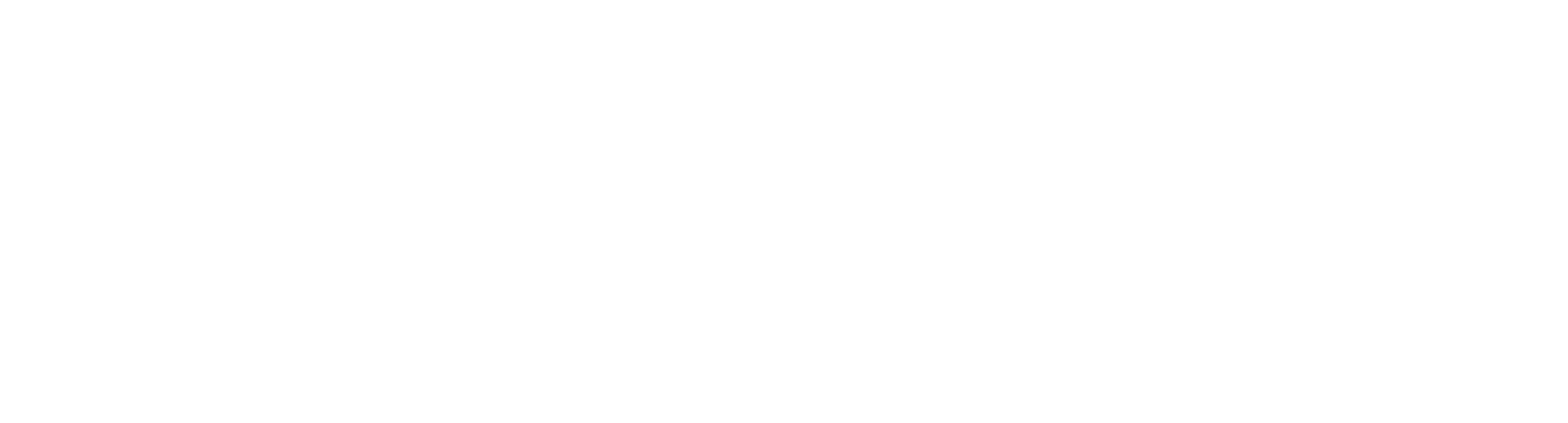 Logo Limberger & Mamier Steuerkanzlei